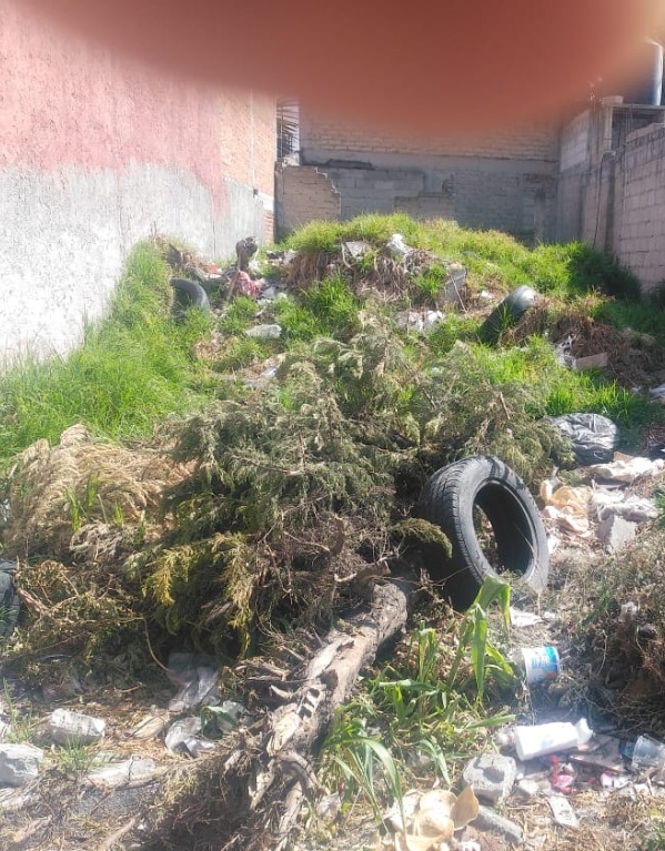 VECINOS YA LO AGARRARON DE BASURERO Y DE BAÑO en TOLUCA - Muspato