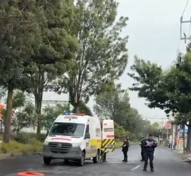 Hombre muere atropellado en Av. Comonfort; conductor se da a la fuga ...