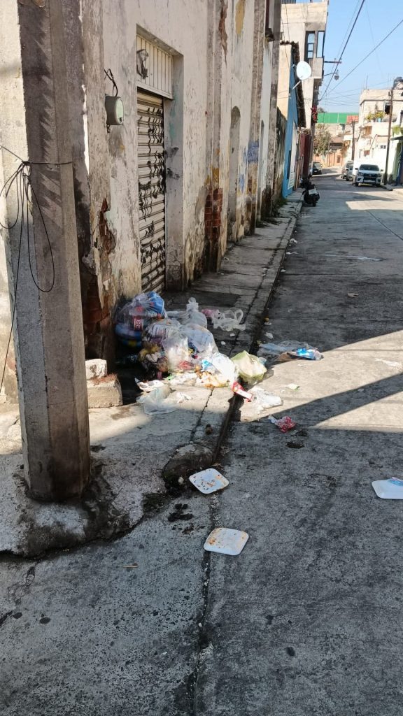 Vecinos denuncian abandono de basura en plena vía pública en Almoloya ...